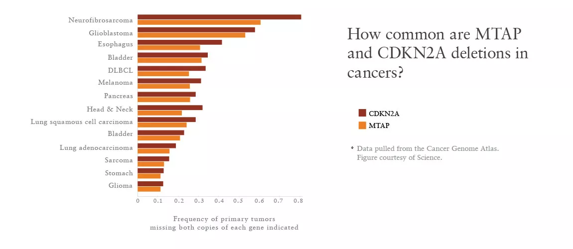 How common are MTAP and CDKN2A deletions in cancers How common are MTAP and CDKN2A deletions in cancers