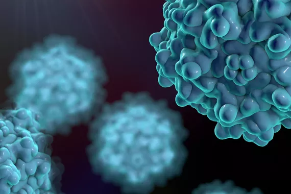 adeno associated viruses 3d hero adeno associated viruses 3d hero